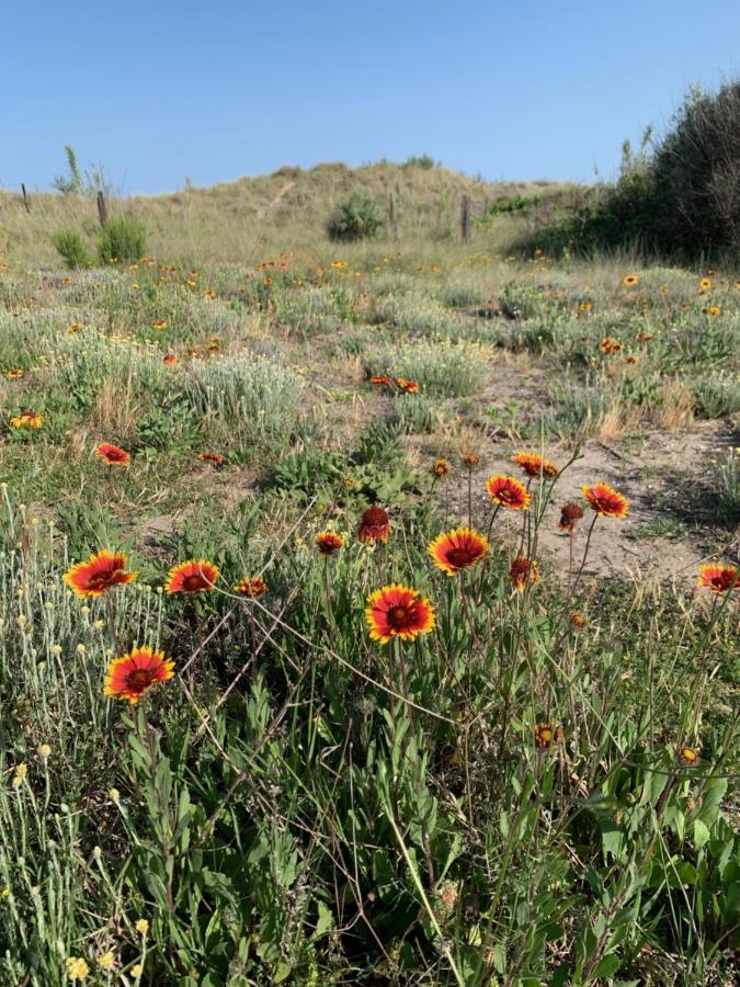Mon Petit Paradis, Vue Sur Dunes Et Mer, Acces Direct Plage Robinson, Terrasse, Parking Prive, Tres Ressourcant, A Marseillan Plage ภายนอก รูปภาพ